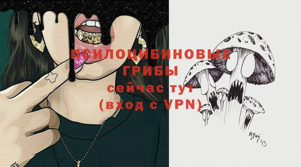 амф Тихвин